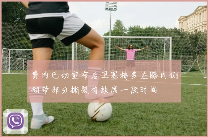 费内巴切宣布后卫塞梅多左膝内侧韧带部分撕裂将缺席一段时间