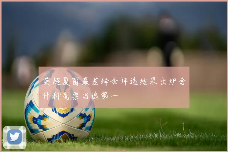 英超夏窗最差转会评选结果出炉舍什科高票当选第一