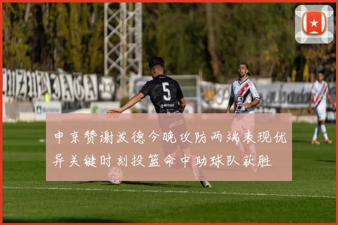 申京赞谢泼德今晚攻防两端表现优异关键时刻投篮命中助球队获胜