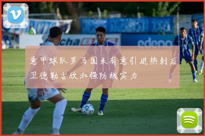 意甲球队罗马国米有意引进热刺后卫德勒古欣加强防线实力