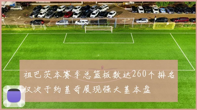 祖巴茨本赛季总篮板数达260个排名仅次于约基奇展现强大基本盘