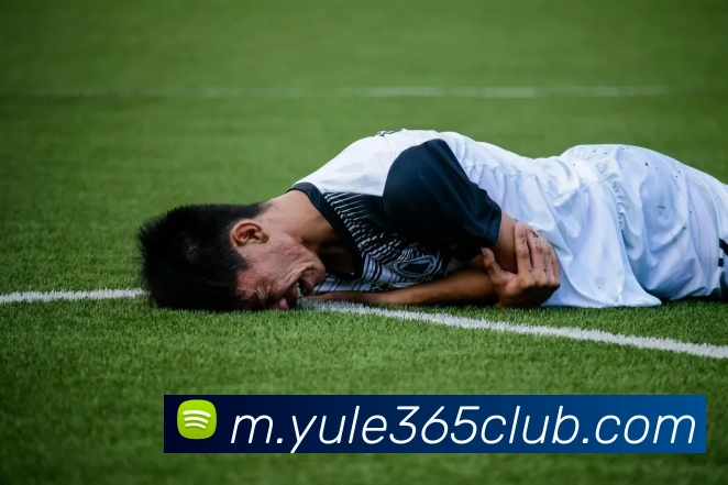 乐鱼体育品牌故事