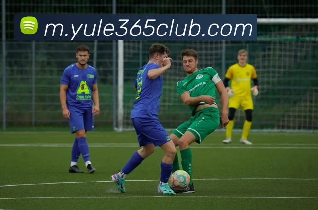 乐鱼体育服务体系